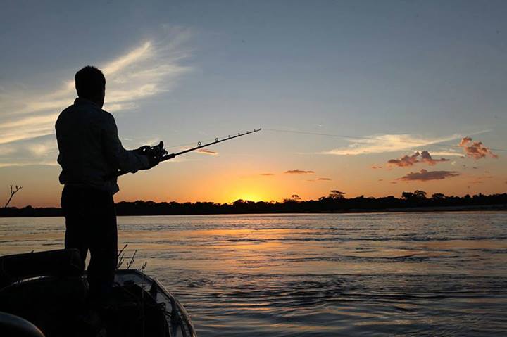 Un robot sumergible quiere cambiar el mundo de la pesca